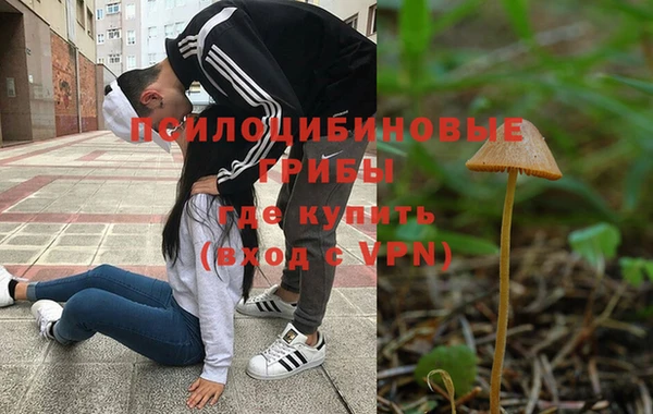 ешки Арсеньев