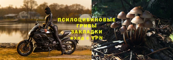 ешки Арсеньев