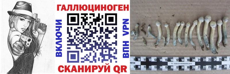 Галлюциногенные грибы прущие грибы  как найти наркотики  блэк спрут tor  Можга 