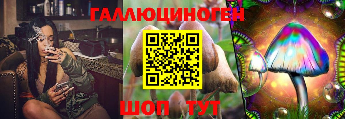 Можга  Псилоцибиновые грибы Psilocybine cubensis  Вход с VPN 
